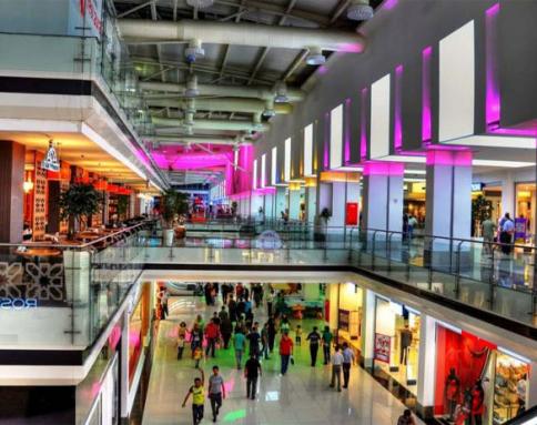 فاميلي فان مول